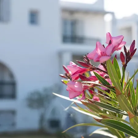 Aparthotel Sea Lilies